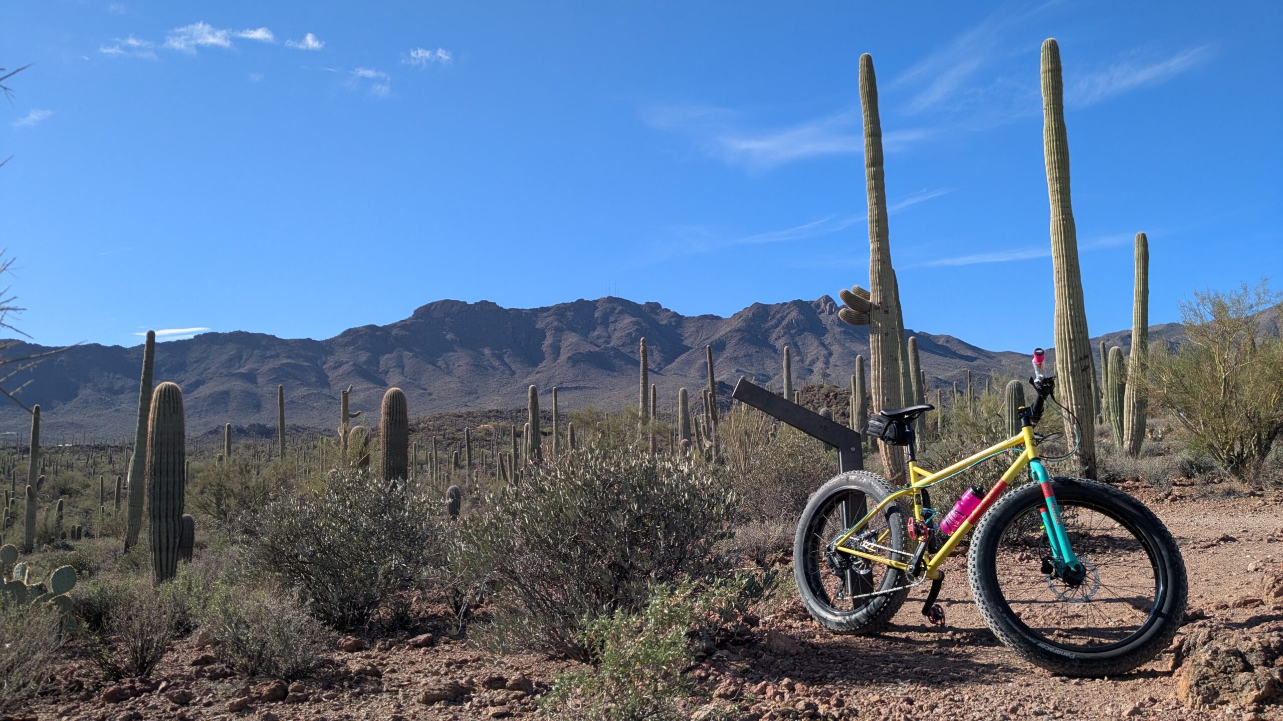 LoBall Bikes